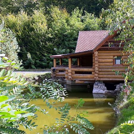 Rancho 555 Guest House Uzhhorod Exterior photo